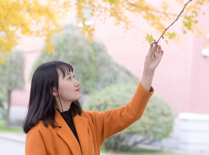 北京菲律宾大使馆申请签证(大使馆签证攻略)